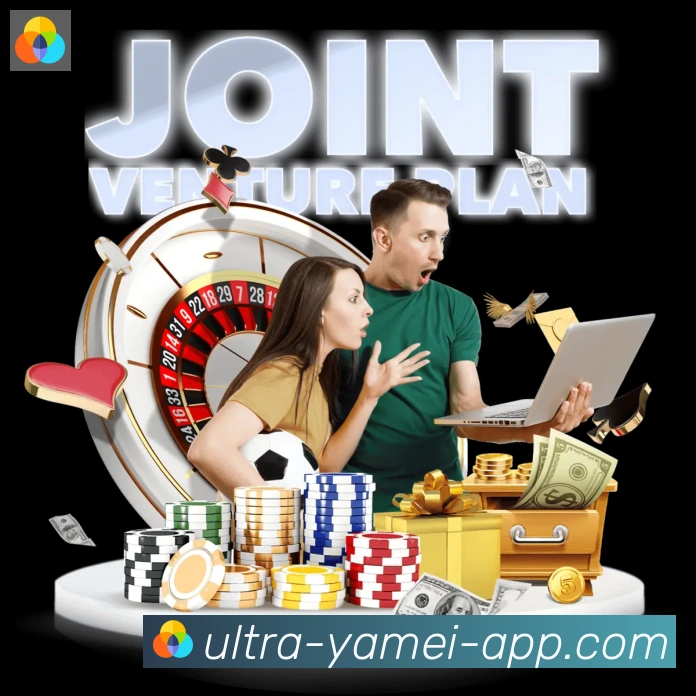未来规划